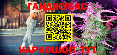 крисы Обь