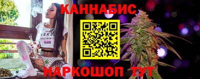 крисы Обь
