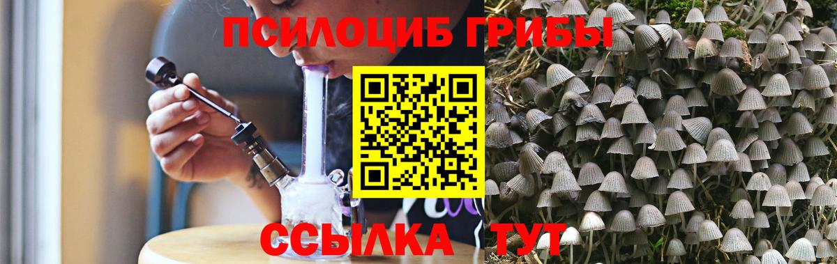 Усть-Илимск  Галлюциногенные грибы Magic Shrooms  Вход с VPN 