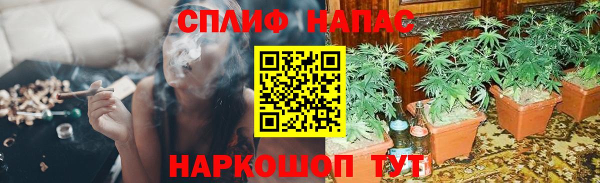 Конопля планчик  Канабис конопля  МАРИХУАНА семена  Вход с VPN  Усть-Илимск 